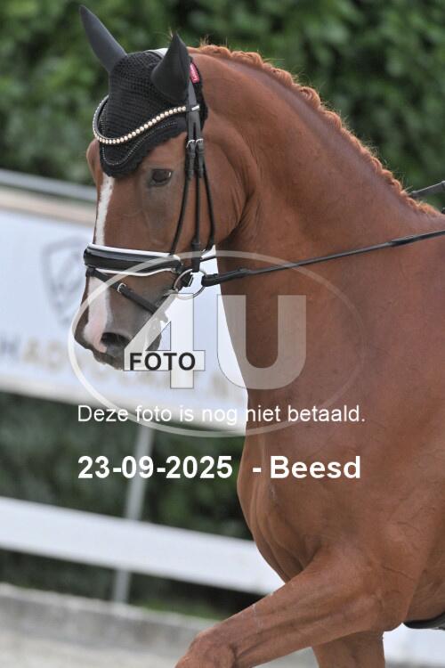 250923 2815