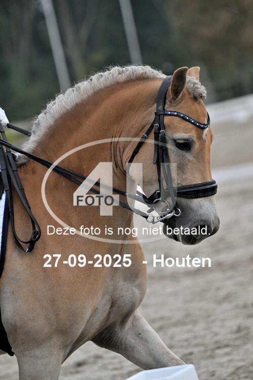 250927 1117