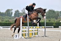 11-10-2025 Beesd