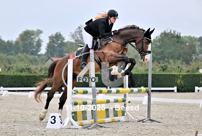 11-10-2025 Beesd