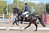 18-10-2025 Houten