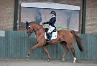 09-11-2025 Ammerzoden