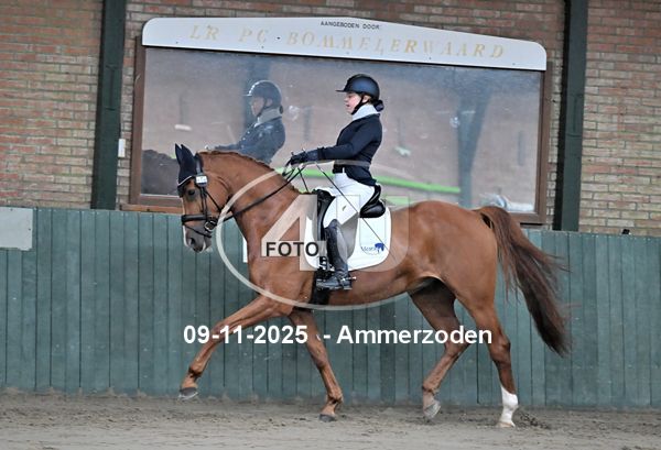 09-11-2025 Ammerzoden