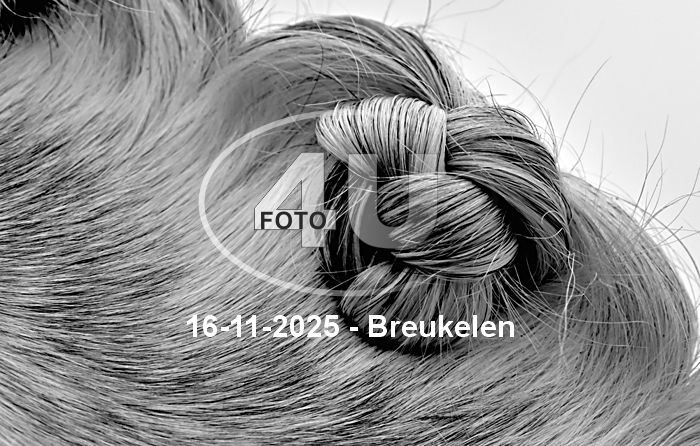 16-11-2025 Breukelen