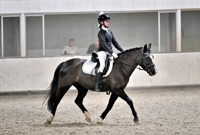 17-01-2026 Velddriel