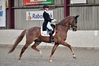 18-01-2026 Velddriel