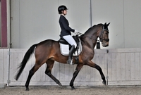 17-02-2026 Velddriel