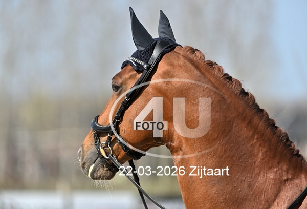 22-03-2026 Zijtaart