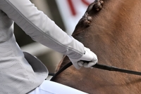 04-04-2026 Heeswijk-Dinther