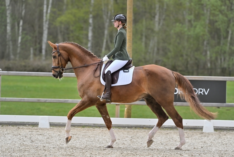 05-04-2026 Heeswijk-Dinther