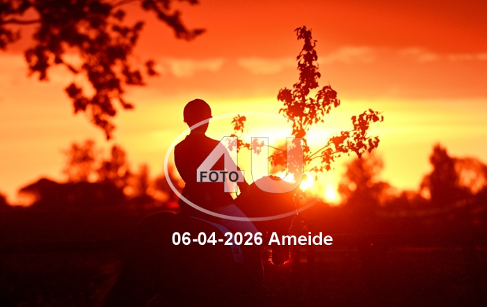 06-05-2026 Ameide