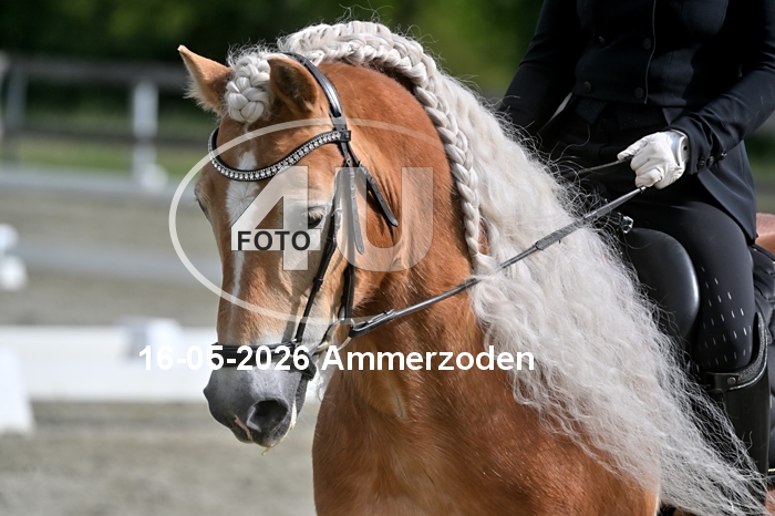 16-05-2026 Ammerzoden