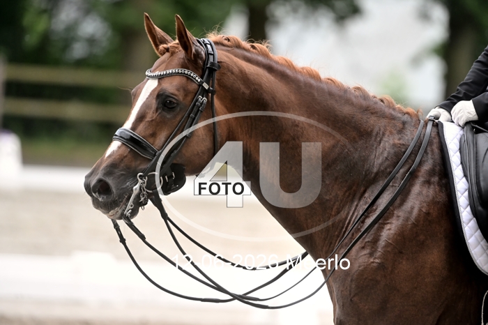 12-06-2026 Meerlo