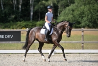 13-07-2026 Heeswijk-Dinther