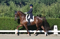 08-08-2026 Beesdr
