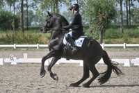 09-08-2026 Velddriel