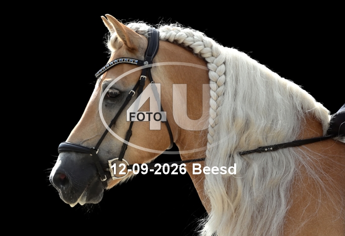 12-09-2026 Beesd