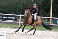 19-09-2026 Heeswijk-Dinther